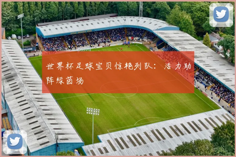 世界杯足球宝贝惊艳列队：活力助阵绿茵场