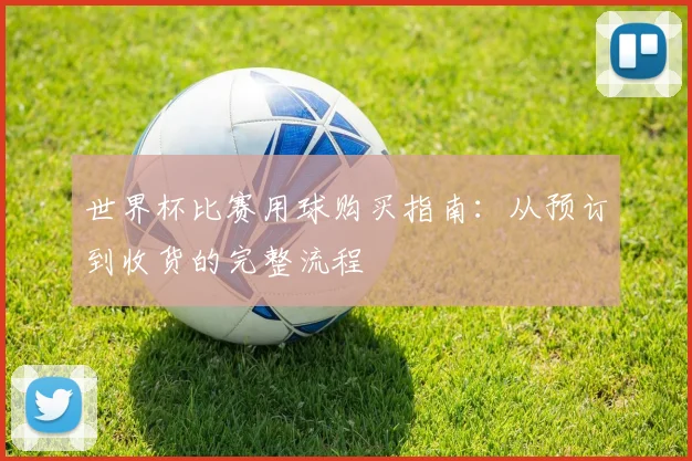 世界杯比赛用球购买指南：从预订到收货的完整流程