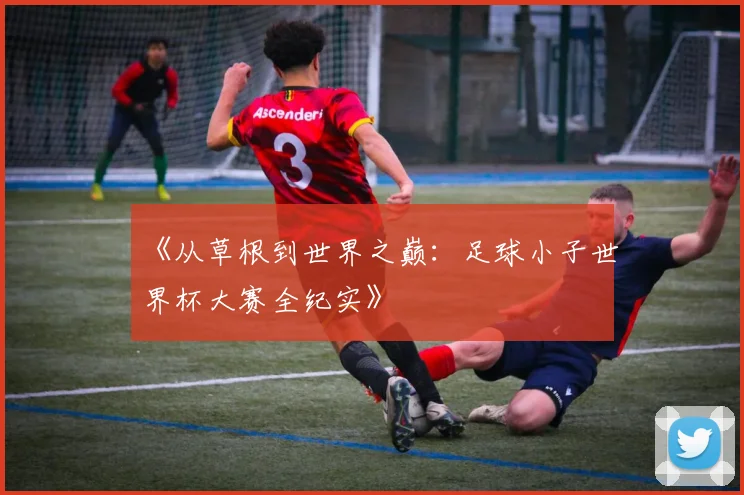 《从草根到世界之巅：足球小子世界杯大赛全纪实》