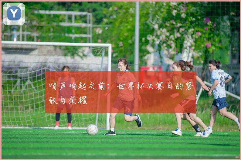 哨声响起之前：世界杯决赛日的紧张与荣耀