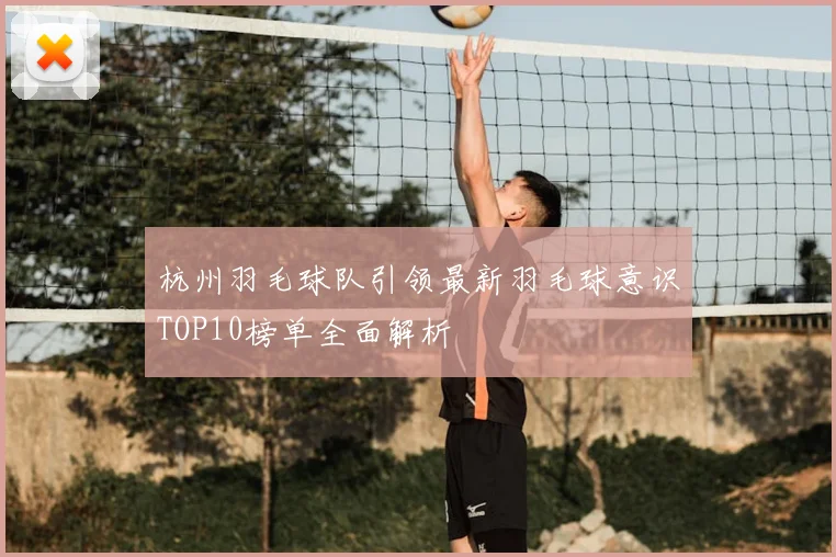 杭州羽毛球队引领最新羽毛球意识TOP10榜单全面解析