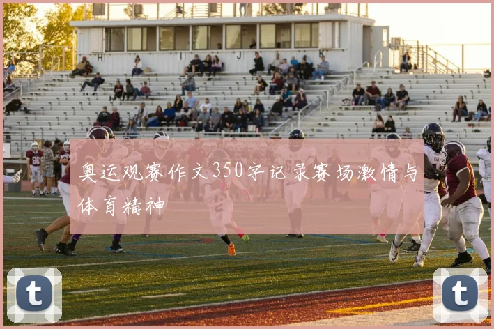 奥运观赛作文350字记录赛场激情与体育精神