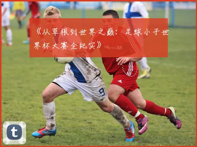 《从草根到世界之巅:足球小子世界杯大赛全纪实》