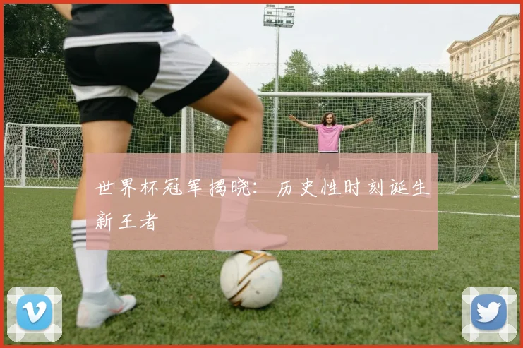 世界杯冠军揭晓：历史性时刻诞生新王者
