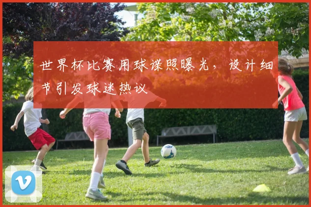 世界杯比赛用球谍照曝光，设计细节引发球迷热议