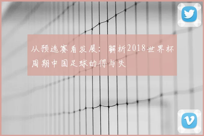 从预选赛看发展：解析2018世界杯周期中国足球的得与失